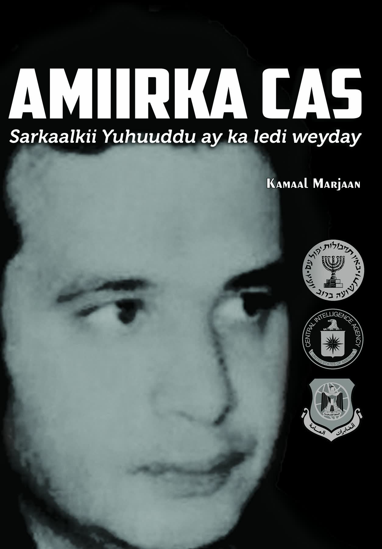 Cover of Amiirka Cas