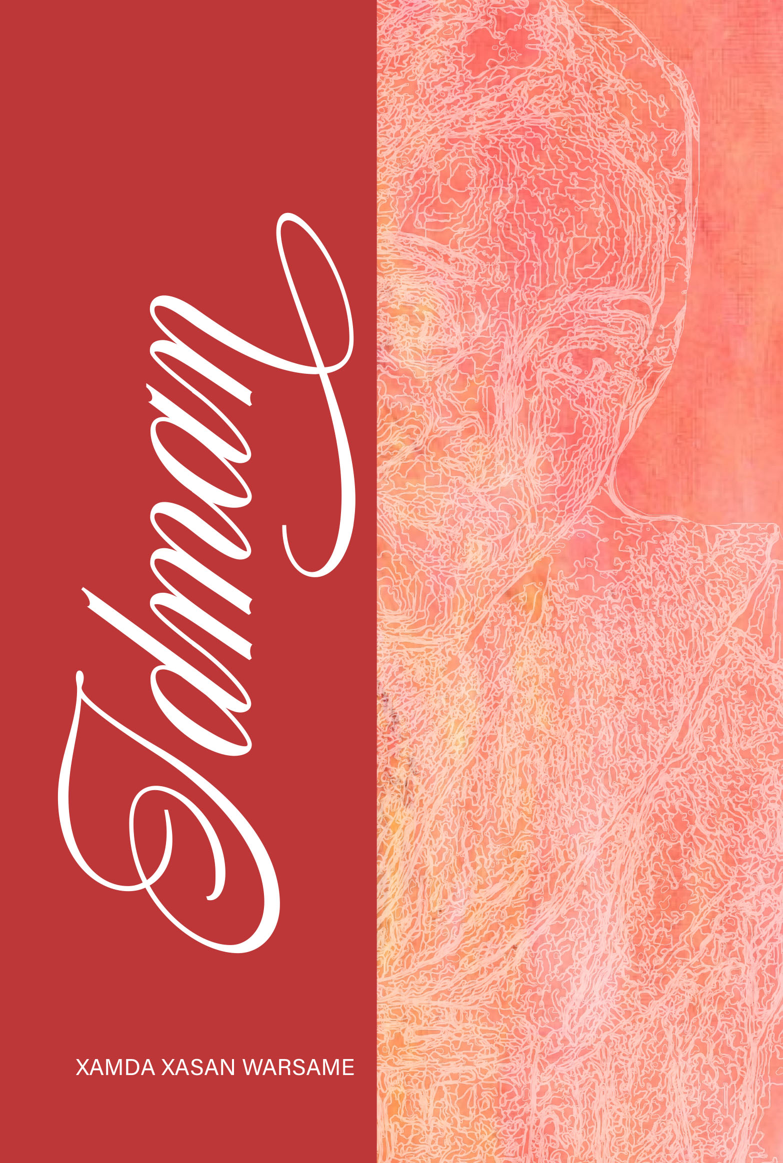 Cover of Idman